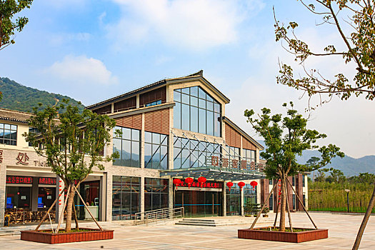 trực tiếp miền bắc