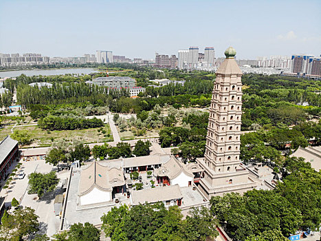 soi câu rong bạch kim