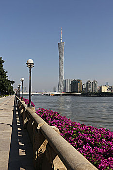 bạch thủ đề ngày mai