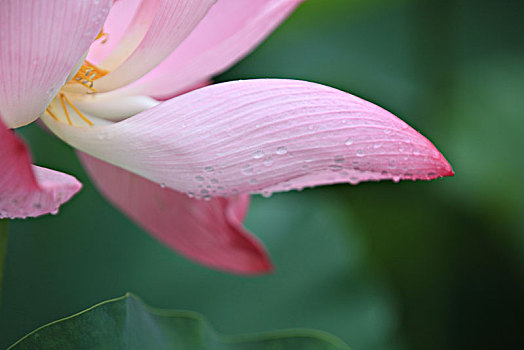 xổ số miền nam thứ chủ nhật hàng tuần