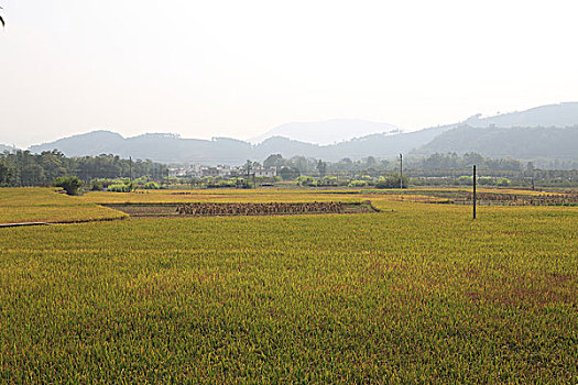 xổ số ngày thứ tư