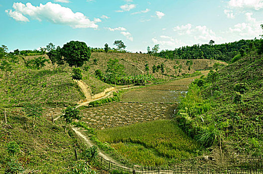 cách đánh lô trượt
