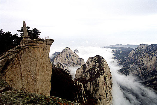 bach thu la