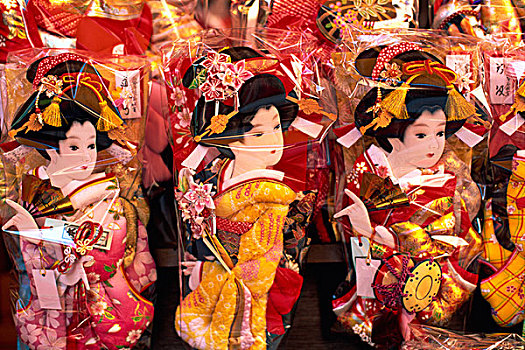 bạch thủ lô miền bắc