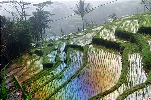 soi cau mphi mb