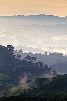 bạch thủ thành phố