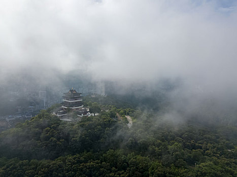 dự đoán mn