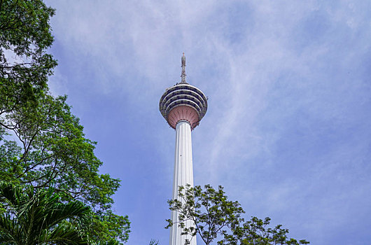 cau bạch thu hom nay