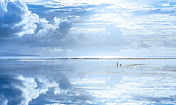 soi cau xo so vung tau