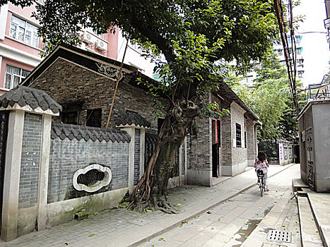 so xo mình ngoc