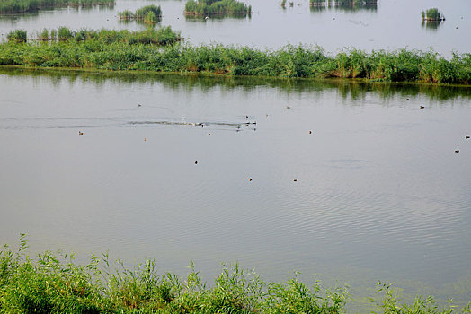 xsmb 100 ngày