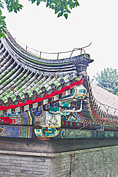 dạy cách đánh đề